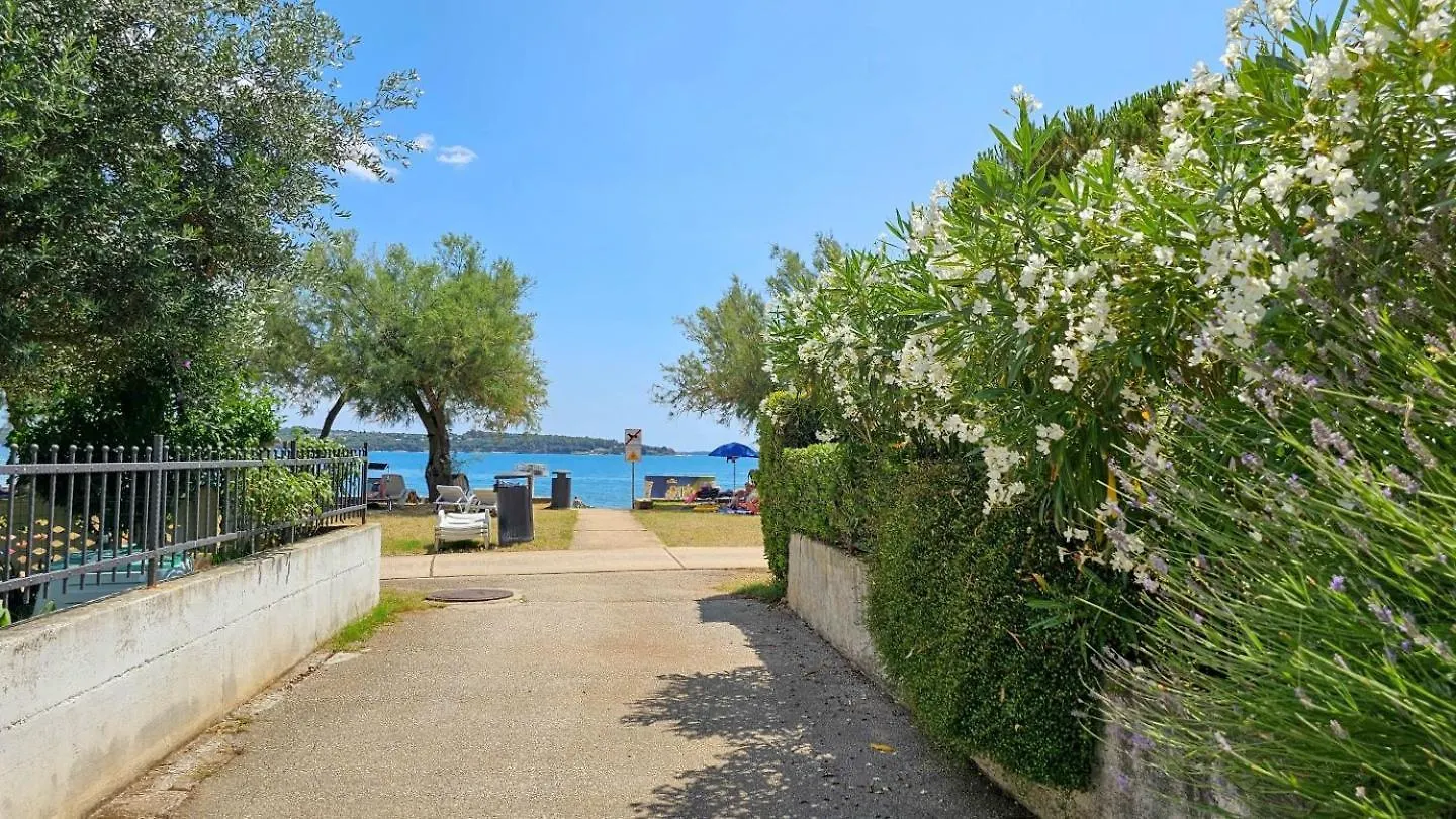 Studio Benjamin Novigrad Istria